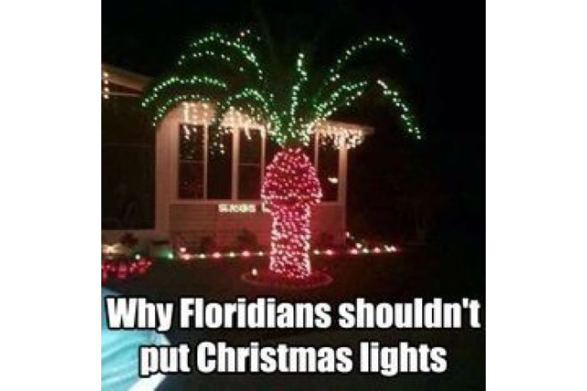 Florida Christmas image