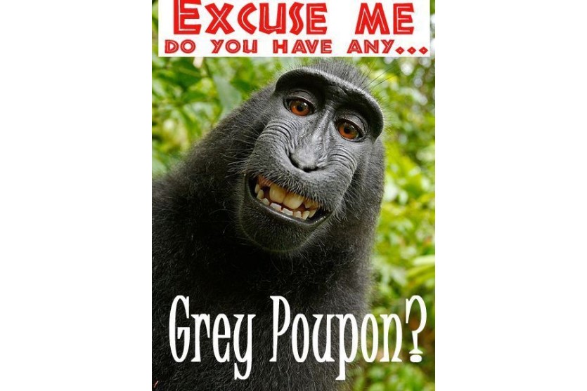 Image of the Grey Poupon Ape do you have any?