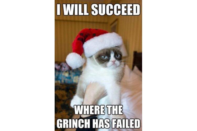Grumpy Cat Grinch will Succeed image