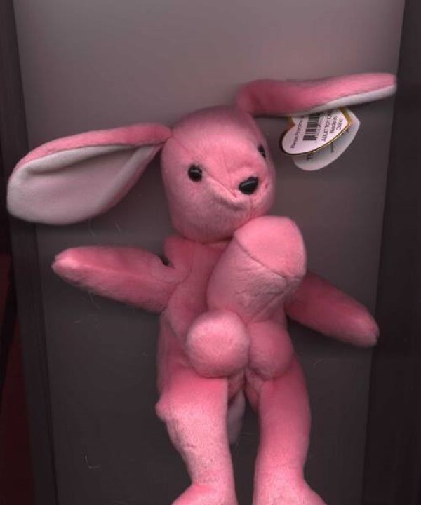 One Hung Bunny image