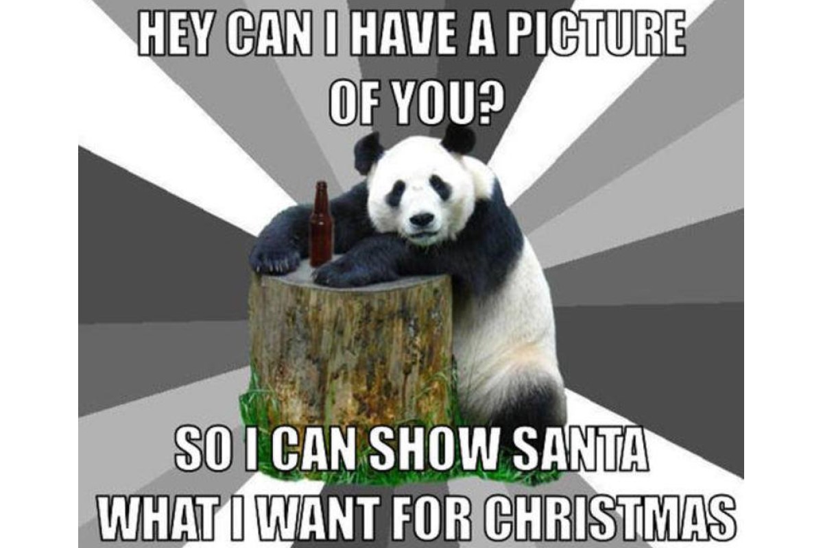 Panda Christmas image