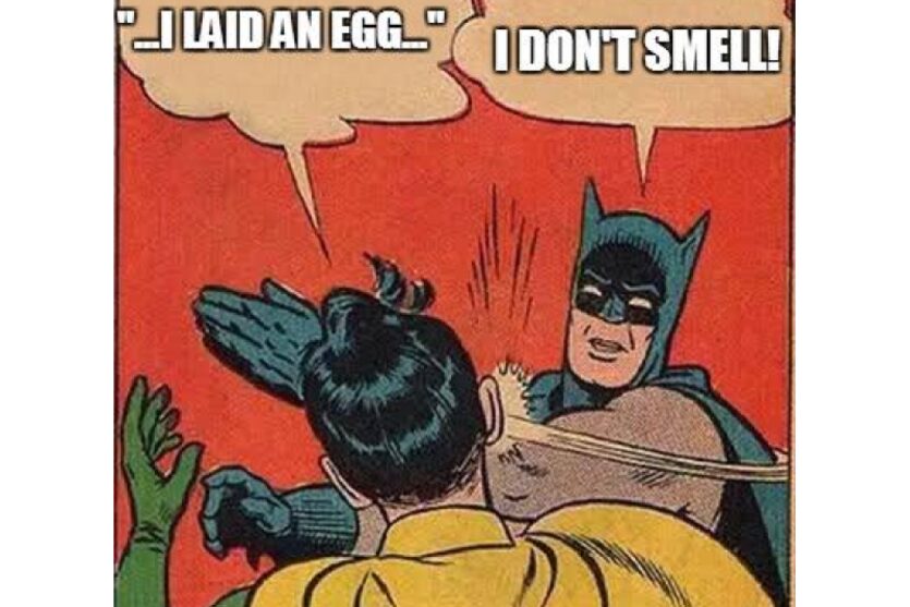batman smells robin laid an egg