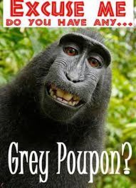Image of the Grey Poupon Ape