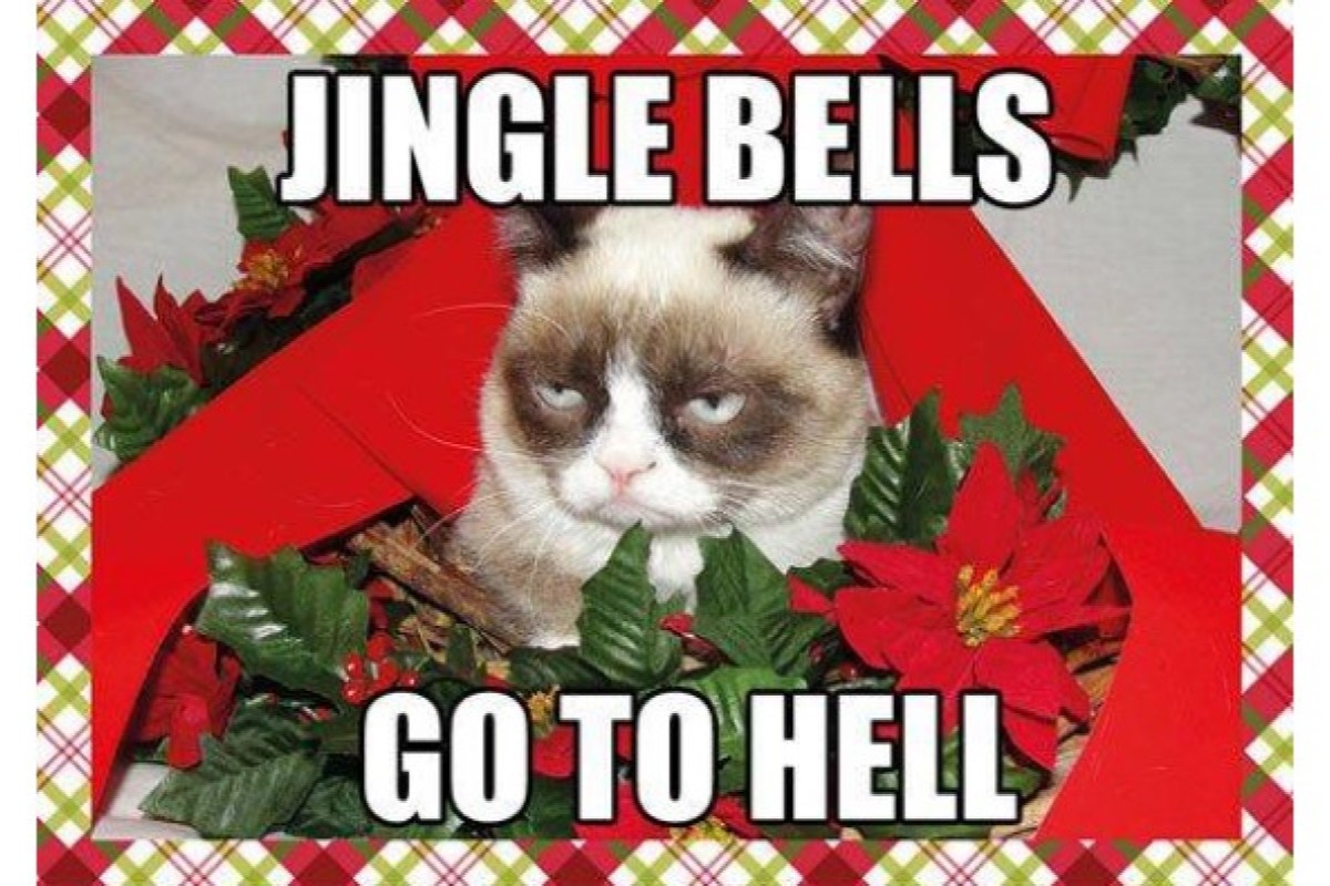 grumpy cat christmas jungle bells image