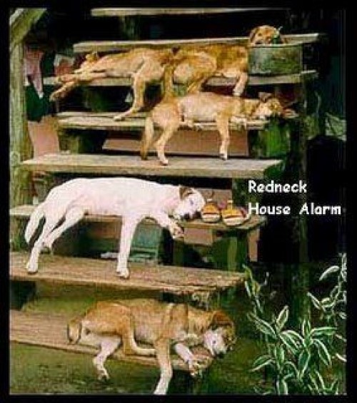 funny redneck security system with dogs image