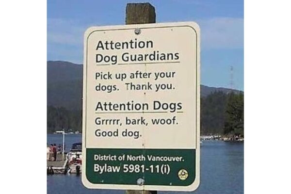 Attention Dogs image
