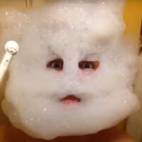 Bubble Head Toothbrush video image