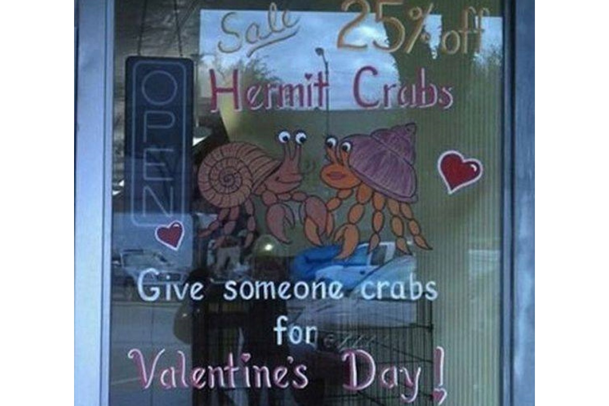 funny valentines day crabs gift sign image