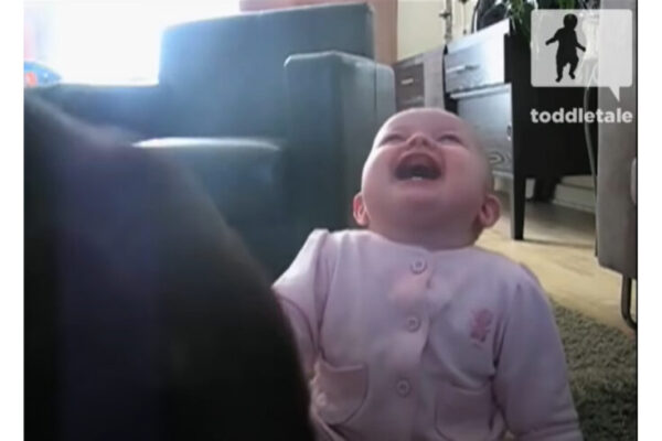 Video of Baby laughs at dog eating