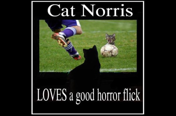 cat norris loves a good horror movie image