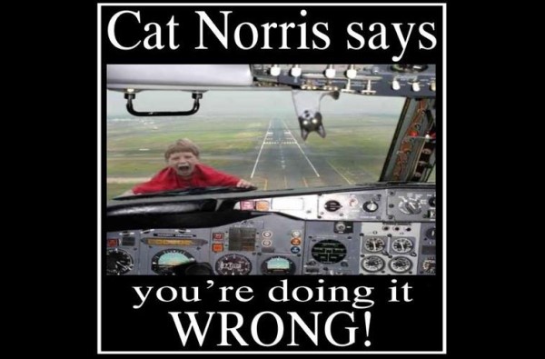 cat norris say wrong image