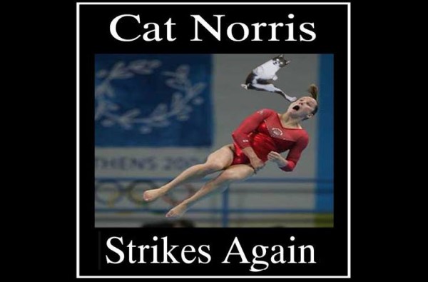 cat norris strikes gymnast image