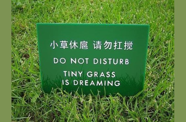 Funny sign image do not disturb the grass