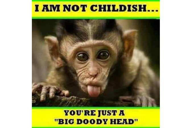 Funny animal photo says I'm not childish, you're just a big doody head.