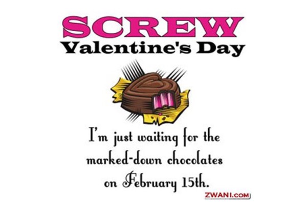 Screw Valentines Day image