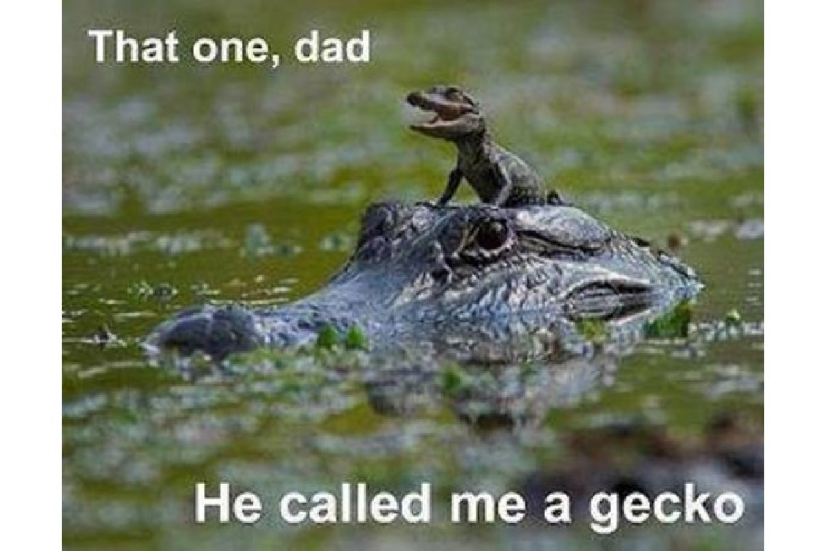 Alligator baby on dads back image
