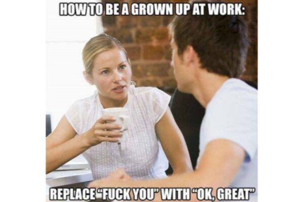 how to be a grown up at work funny meme