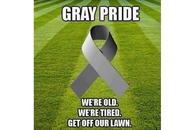 gray pride image