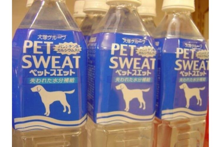 Pet Sweat Bottled Water funny image