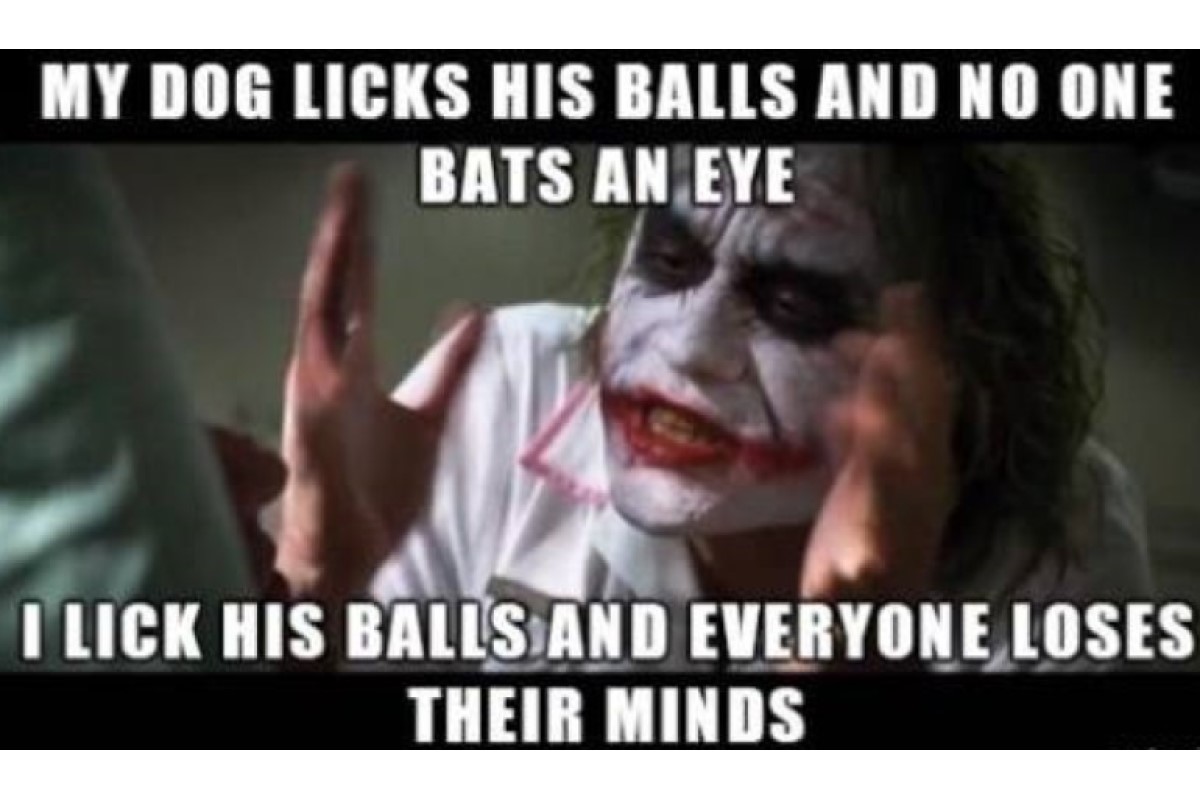 funny dog balls joker image