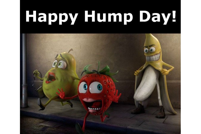 Funny happy humps day image