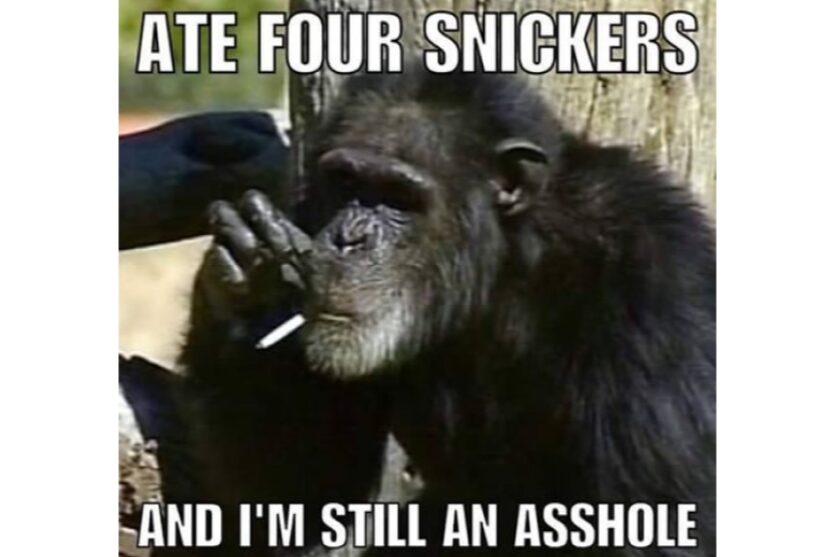 Ate Four Snickers And I'm Still An Asshole funny ape image