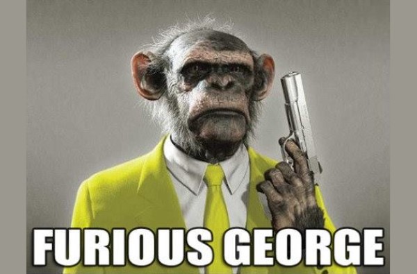 furious george monkey image