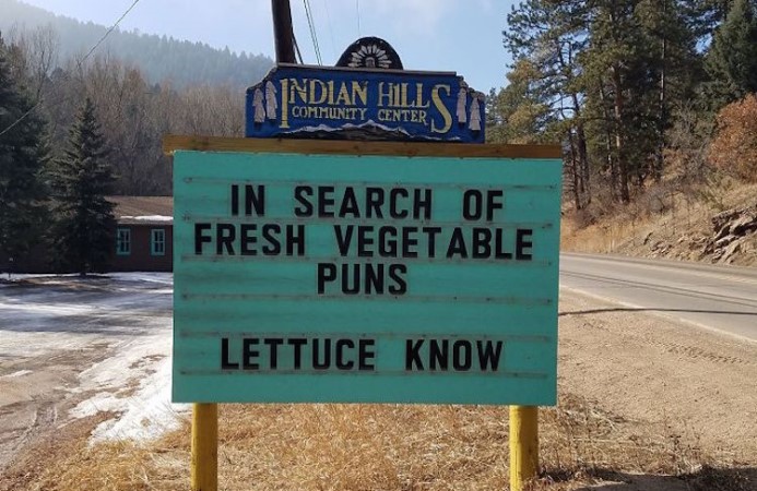 looking for fresh puns