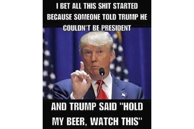 This started because someone told Trump he could not be president. Hold my beer - all because of beer image