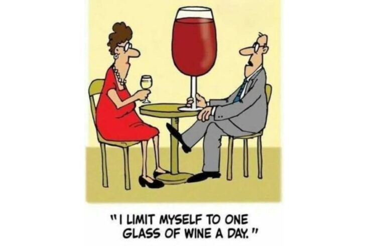 Wine In Moderation funny image
