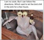 Chill In The Sink turkey image