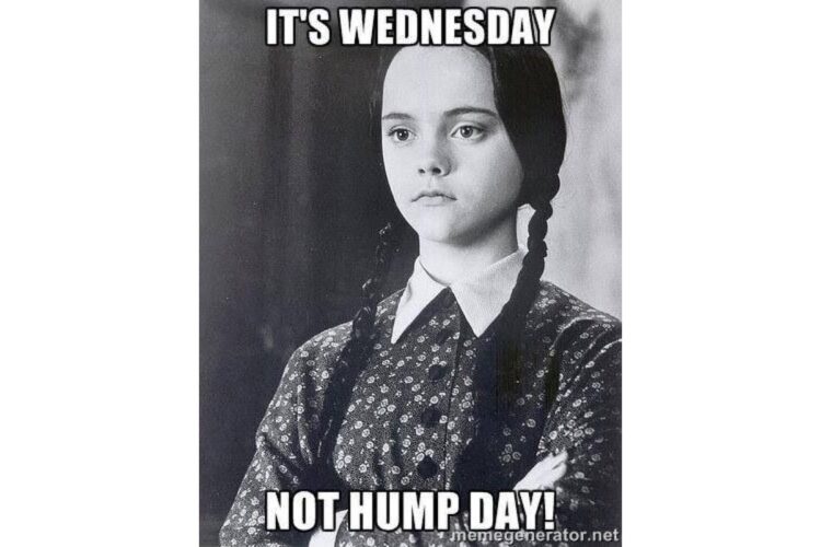 Not Hump Day image