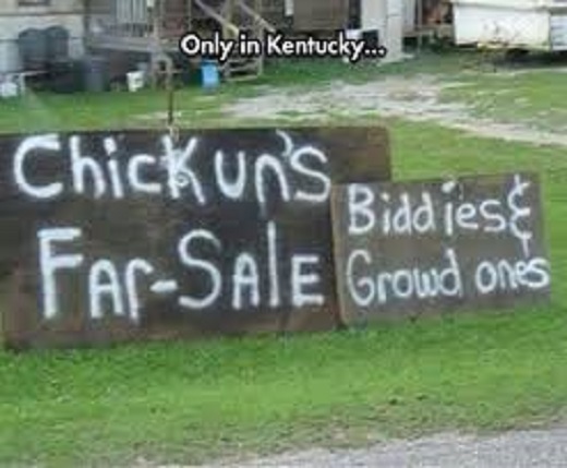 Only In Kentucky