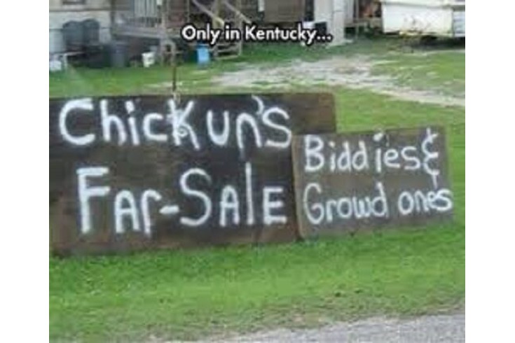 Only in Kentucky image