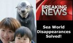 Sea World Disappearances Solved image