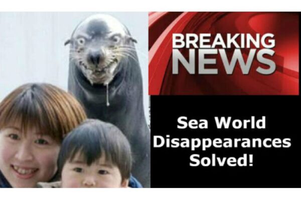 Sea World Disappearances solved image