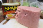 Trump Spam picture