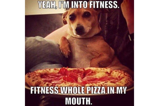 Dog is Into Fitness image with pizza