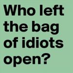 Open Bag of Idiots image