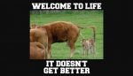 Welcome To Life image