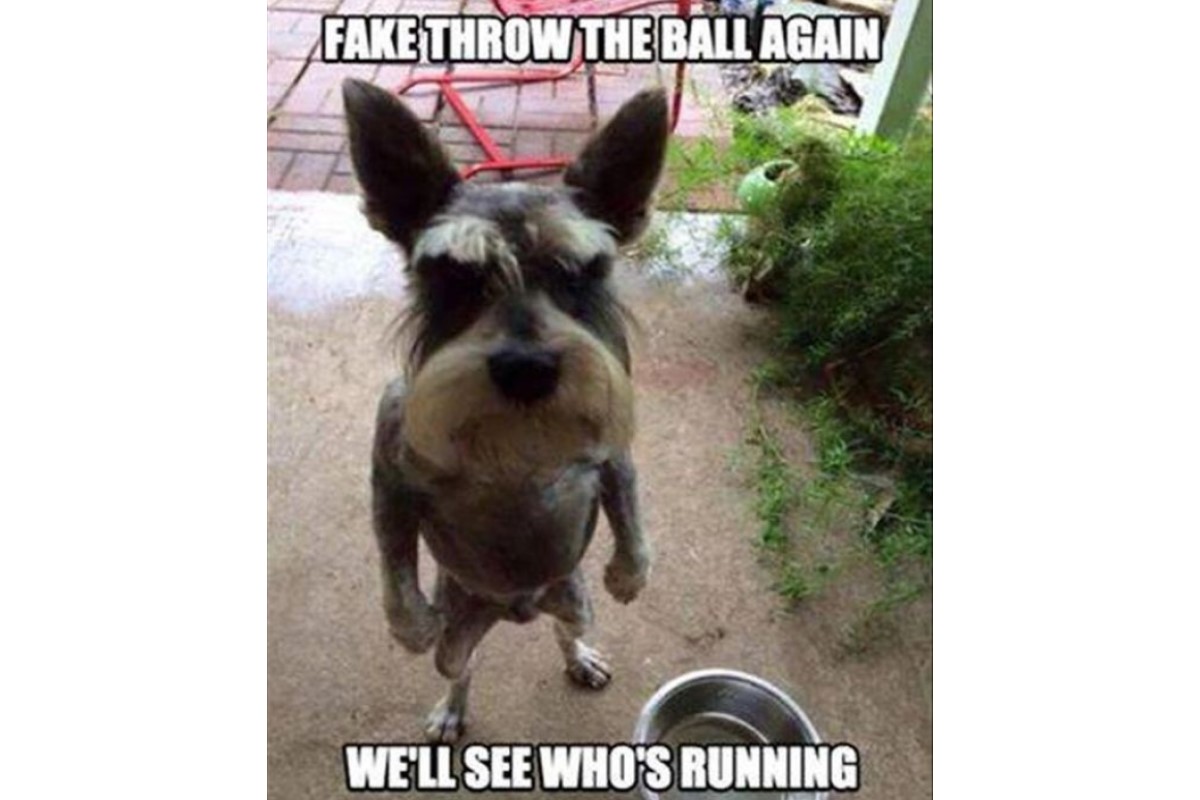 Fake Throw The Ball again image