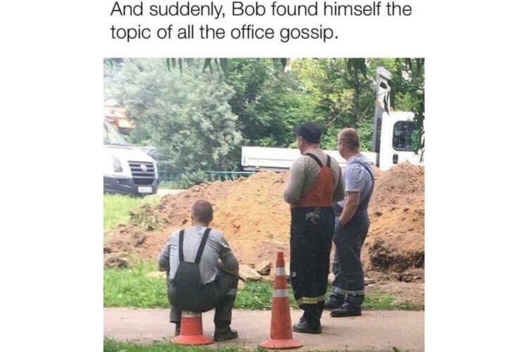 poor bob sits on a traffic cone