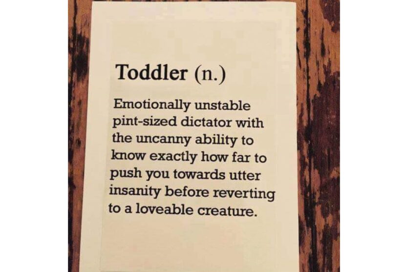 funny Toddler Definition image