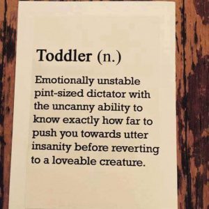 Toddler Definition