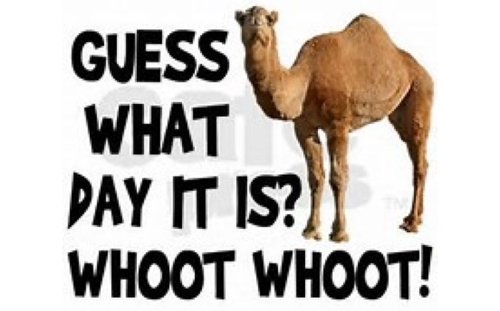 What day is it - Wednesday - Hump Day