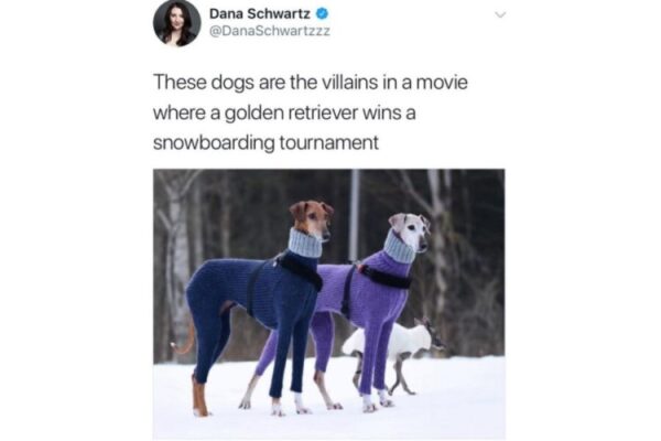 Villain Dogs image from a bond movie