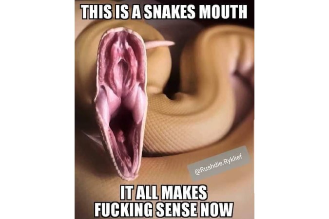 relationships meme snakes mouth image