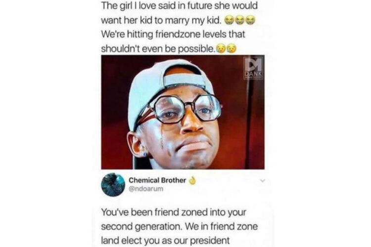 funny Friend zoned image