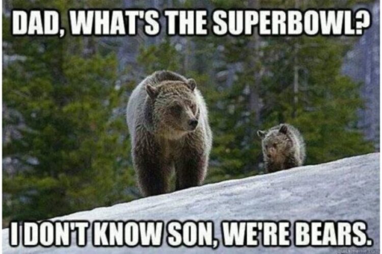 Super Bowl Bears funny image