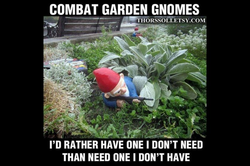 Funny Combat Garden Gnomes image